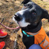 Thumbnail photo of Amy #1