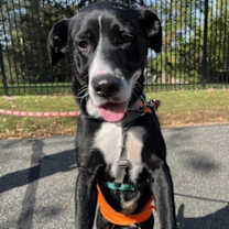 Thumbnail photo of Amy #2