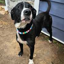 Thumbnail photo of Amy #3