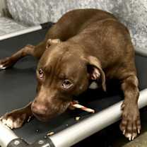 Thumbnail photo of Zara #1