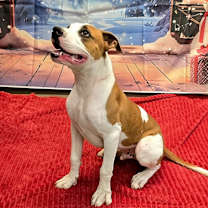 Thumbnail photo of Boyd #1