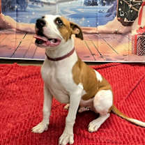 Thumbnail photo of Boyd #2