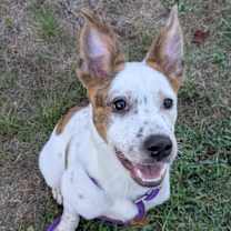 Thumbnail photo of Splash #1