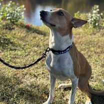 Thumbnail photo of Jenni #4