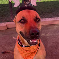 Thumbnail photo of Null #1