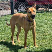 Thumbnail photo of Null #3