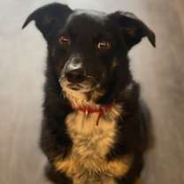 Thumbnail photo of Wedge #1