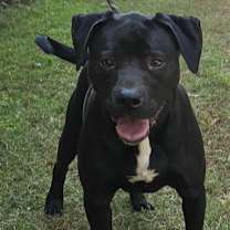 Thumbnail photo of Tahoe #4