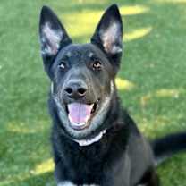 Thumbnail photo of Tally #1