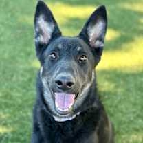 Thumbnail photo of Tally #2