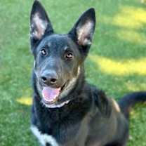 Thumbnail photo of Tally #3