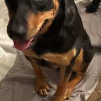 Thumbnail photo of Adira #2