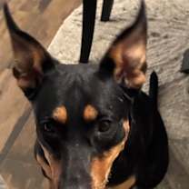 Thumbnail photo of Adira #3