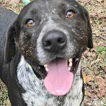 Thumbnail photo of Tank #2 #1