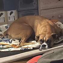 Thumbnail photo of Chata #1