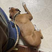 Thumbnail photo of Chata #2