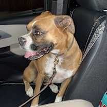 Thumbnail photo of Chata #4