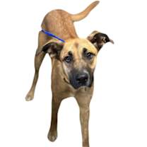 Thumbnail photo of Cassidy #3