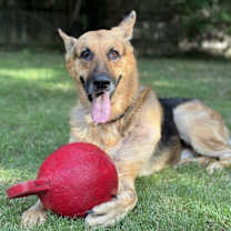 Thumbnail photo of SJ #3