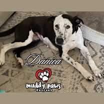 Thumbnail photo of Danica (Courtesy Post) #2