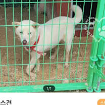 Thumbnail photo of Mimi #2