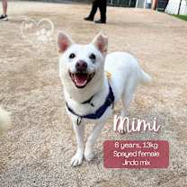 Thumbnail photo of Mimi #4