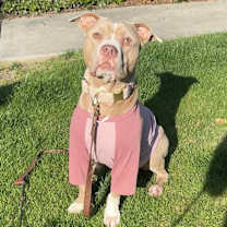 Thumbnail photo of Faith #2