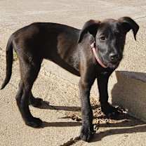 Thumbnail photo of Yang #4