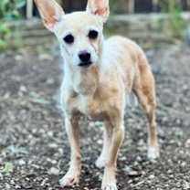 Thumbnail photo of Bonbon #1