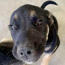 Thumbnail photo of Luke #3