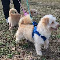 Thumbnail photo of Mork #4