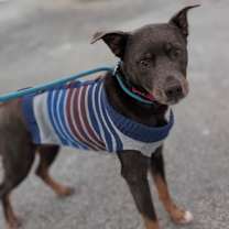 Thumbnail photo of Wednesday #1