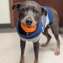 Thumbnail photo of Wednesday #2