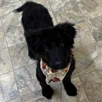 Thumbnail photo of Nena #1