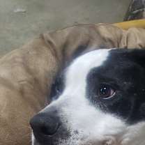 Thumbnail photo of Junior #2