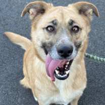 Thumbnail photo of Lucy #2