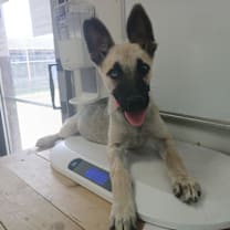 Thumbnail photo of Olympia #3