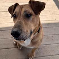 Thumbnail photo of Reba #1