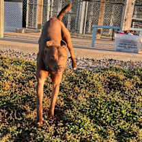 Thumbnail photo of Hershey/Kash #4