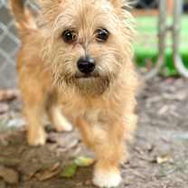 Thumbnail photo of Jasper PLEASE HELP‼️ #2