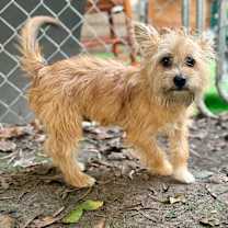 Thumbnail photo of Jasper PLEASE HELP‼️ #3