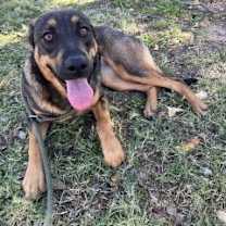 Thumbnail photo of Lainey #1