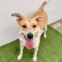 Thumbnail photo of Juliette #1