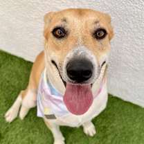 Thumbnail photo of Juliette #4