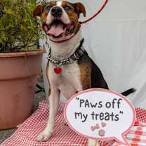 Thumbnail photo of Stu #4