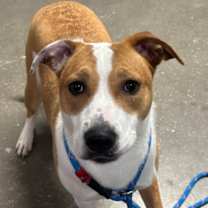 Thumbnail photo of ARIZONA #3