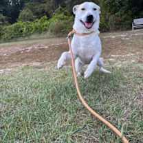 Thumbnail photo of Brooklyn #2