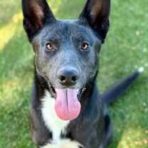 Thumbnail photo of Lefty #1