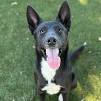 Thumbnail photo of Lefty #3