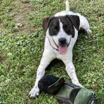 Thumbnail photo of Peter #1